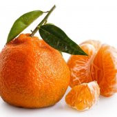Tüplü Aşılı Rize Satsuma Mandalina Fidanı - 1