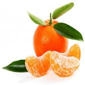 Tüplü Aşılı Meyve Verme Durumunda W.Murcot Mandalina Fidanı - 1
