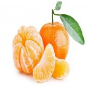 Tüplü Aşılı Yarı Bodur Nova Mandalina Fidanı - 1