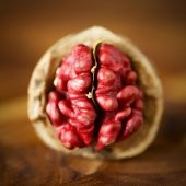 Tüplü Aşılı Özel Üretim Red Walnut Kırmızı Ceviz Fidanı - 1