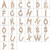 Gümüş Rose D Harfi Kadın Kolye thumbnail 2