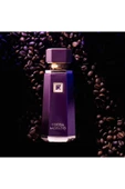 FRENCH AVENUE COCOA MORADO 100ml - 4