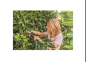 Bosch EasyPrune Akülü Adaptörsüz Dal Budama Makası - 3