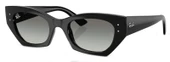 Ray-Ban RB4430 667711 49 Unisex Güneş Gözlüğü - 1