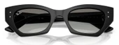Ray-Ban RB4430 667711 49 Unisex Güneş Gözlüğü - 5