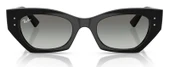 Ray-Ban RB4430 667711 49 Unisex Güneş Gözlüğü - 4