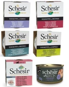 Schesir Klasik Schesir Lezzet Paketi 6Adet x 85gr (6 Al 5 Öde) - 2