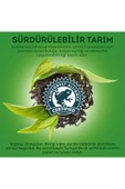 Lipton Yumuşak İçimli Yeşil Çay Süzen Poşet 3 x 20 li - 5