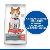 Hills Somonlu Kısırlaştırılmış Yetişkin Kedi Maması 8+2 Kg Hediyeli - 3