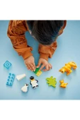 LEGO ® DUPLO® Kasabası Vahşi Hayvan Aileleri: Penguenler ve Aslanlar 10442 - 2 Yaş ve Üzeri(10 Parça) - 5