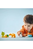 LEGO ® DUPLO® Kasabası Vahşi Hayvan Aileleri: Penguenler ve Aslanlar 10442 - 2 Yaş ve Üzeri(10 Parça) - 10