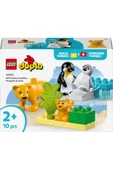LEGO ® DUPLO® Kasabası Vahşi Hayvan Aileleri: Penguenler ve Aslanlar 10442 - 2 Yaş ve Üzeri(10 Parça) - 2