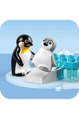 LEGO ® DUPLO® Kasabası Vahşi Hayvan Aileleri: Penguenler ve Aslanlar 10442 - 2 Yaş ve Üzeri(10 Parça) - 4