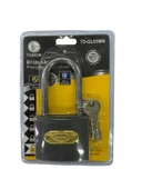 Ennalbur Tudor 63 mm Uzun Gri Asma Kilit - 1