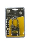 Ennalbur Tudor 38 mm Uzun Gri Asma Kilit - 1