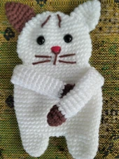 kulaklık kılıfı thumbnail 6