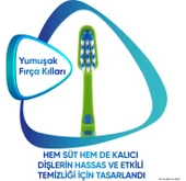 Promine 6-12 Yaş Gün Boyu Çürüklere Karşı Koruyan Çocuk Diş Macunu 50 ml + Yumuşak Diş Fırçası - 8