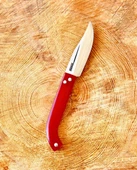 Tapan Aşı Bıçağı 21 cm Paslanmaz - 1