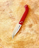 Tapan Aşı Bıçağı 21 cm Paslanmaz - 2