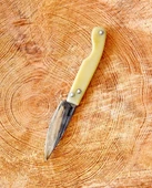 Tapan Aşı Cep Çakısı 18 cm Sarı - 2