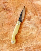 Tapan Aşı Cep Çakısı 18 cm Sarı - 1