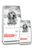 Molly Medium&Large Adult Salmon 2 kg - 1