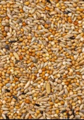 Deli Nature Premium Muhabbet Yemi 1100gr - 2