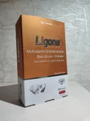 Ligone Multivitamin & Multimineral Beta Glucan, Probiotic 60 Kapsül - SKT:11/2027 - 4