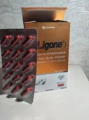 Ligone Multivitamin & Multimineral Beta Glucan, Probiotic 60 Kapsül - SKT:11/2027 - 5