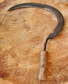 Tapan Ot Biçme Orağı 62-46X3 - 1