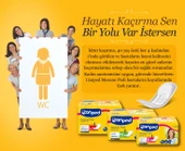 Canped Mesane Pedi Klasik L - Large - Büyük Boy 20 Adet thumbnail 3