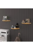 Doğal Modern Organizer Düzenleyici 3'lü Oval Dekoratif Kitaplık Banyo Mutfak Duvar Rafı - 7