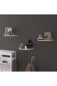 Doğal Modern Organizer Düzenleyici 3'lü Oval Dekoratif Kitaplık Banyo Mutfak Duvar Rafı - 2