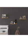 Doğal Modern Organizer Düzenleyici 3'lü Oval Dekoratif Kitaplık Banyo Mutfak Duvar Rafı - 11