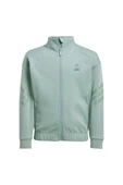 adidas Erkek  Yeşil  Ceket LK SW MNDO TT JF3653 - 1