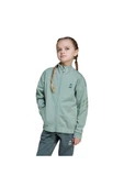 adidas Erkek  Yeşil  Ceket LK SW MNDO TT JF3653 - 2
