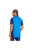 adidas Erkek Mavi  Forma JUVE TR JSY JE4299 - 4