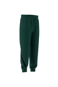 adidas Erkek  Yeşil  PANTOLON M Z.N.E. PT JF6387 thumbnail 10