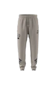 adidas Erkek  Bej  Eşofman Altı M SW TM SWTPNTS JI5723 - 8
