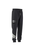 adidas Gri Erkek   Eşofman Altı M SW TM SWTPNTS JI5724 - 8