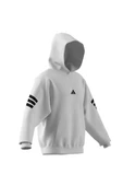 adidas Erkek  Beyaz  HOODY M FI 3S HD JD4859 - 11