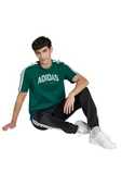 adidas Erkek  Yeşil  GRAPHIC TEE (SHORT SLEEVE M C COLLEG TEE JJ3869 - 4