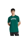 adidas Erkek  Yeşil  GRAPHIC TEE (SHORT SLEEVE M C COLLEG TEE JJ3869 - 2
