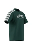adidas Erkek  Yeşil  GRAPHIC TEE (SHORT SLEEVE M C COLLEG TEE JJ3869 - 9