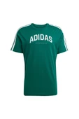 adidas Erkek  Yeşil  GRAPHIC TEE (SHORT SLEEVE M C COLLEG TEE JJ3869 - 1