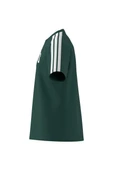 adidas Erkek  Yeşil  GRAPHIC TEE (SHORT SLEEVE M C COLLEG TEE JJ3869 - 10