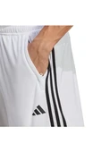 adidas Erkek  Beyaz  SHORTS (1/2) TR-ES PIQ 3SHO IB8244 thumbnail 6