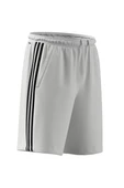 adidas Erkek  Beyaz  SHORTS (1/2) TR-ES PIQ 3SHO IB8244 thumbnail 10