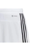 adidas Erkek  Beyaz  SHORTS (1/2) TR-ES PIQ 3SHO IB8244 thumbnail 7