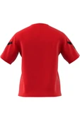 adidas Kadın  Kırmızı  T-Shirt W Z.N.E. TEE JJ4779 - 11